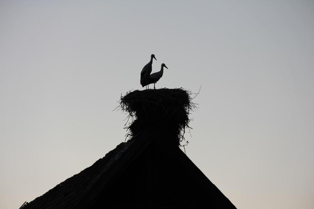 Czarna Jachta - Na Szlaku Legend - - - - - Pokoje Nad Jeziorem Kruklanki Buitenkant foto